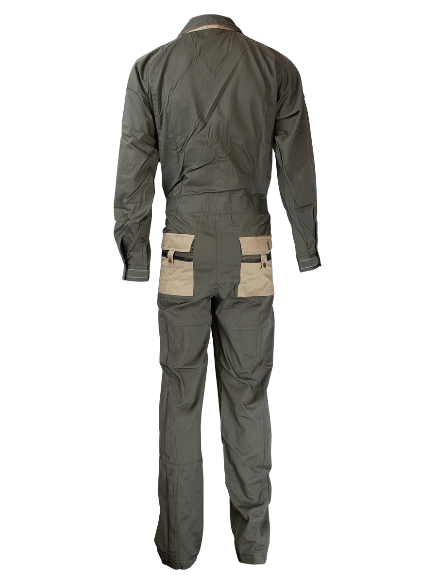 %CE%BF%CE%BB%CE%BF%CF%83-olive-back.jpg