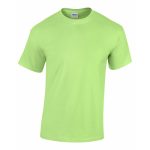 tshirt-light-green-150x150.jpg